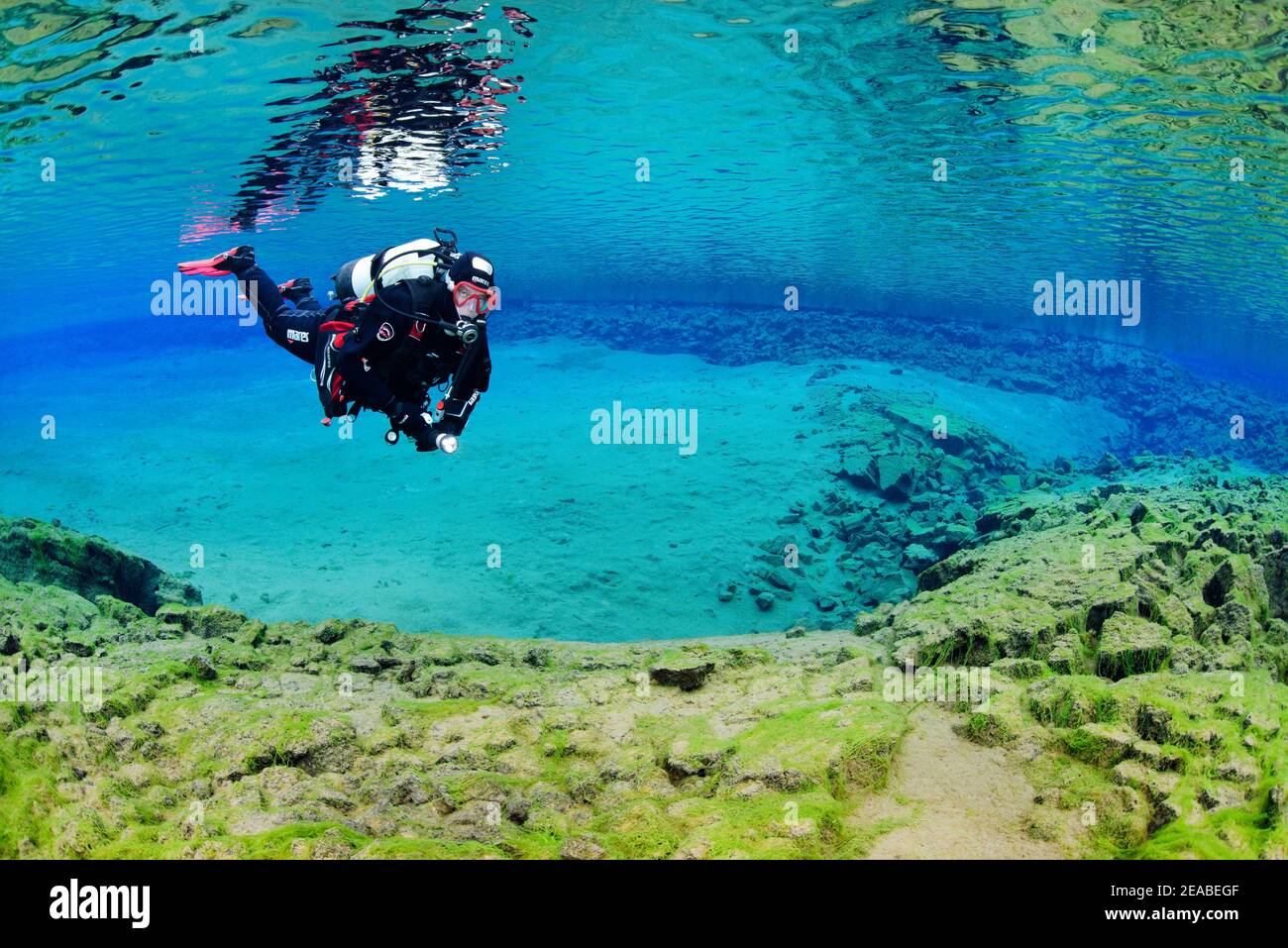 Silfra fessura, tuffatore nella fessura continentale Silfra, immersione tra i continenti, Thingvellir National Park, Islanda Silfra è una fessura, parte del confine tettonico divergente tra il Nord America e le placche eurasiane Foto Stock