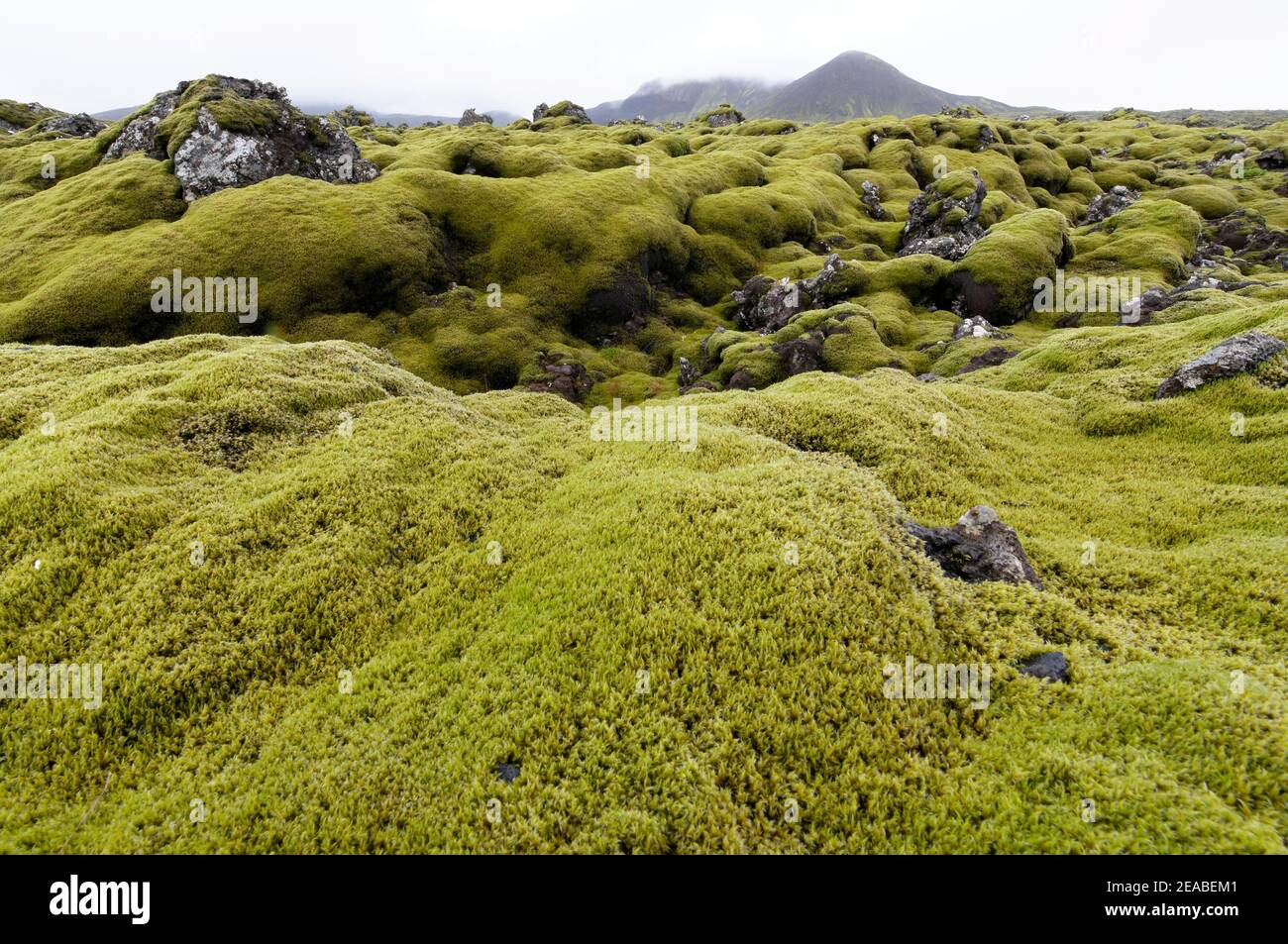 Campo vulcanico di Grimsnes, parte dell'anello d'oro o del Golden Tour, Tjarnarholar, Reykjanes Langjokull Area, Sudurland, Islanda Foto Stock