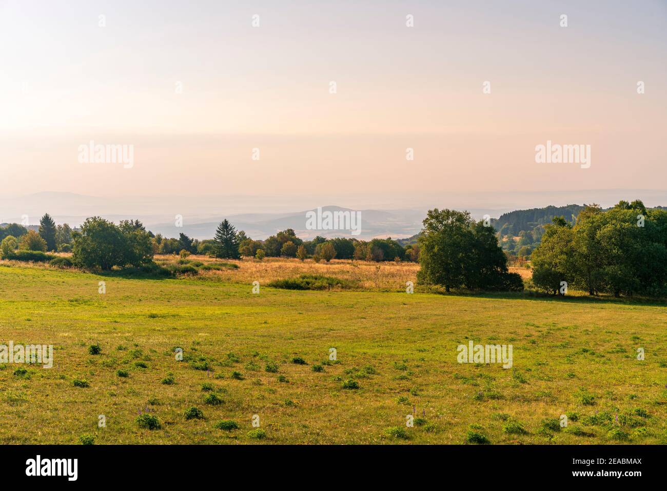 La riserva naturale Lange Rhön si trova nella zona centrale della Riserva della Biosfera di Rhön, Baviera Rhön, distretto di Rhön-Grabfeld, bassa Franconia, Baviera, Germania Foto Stock