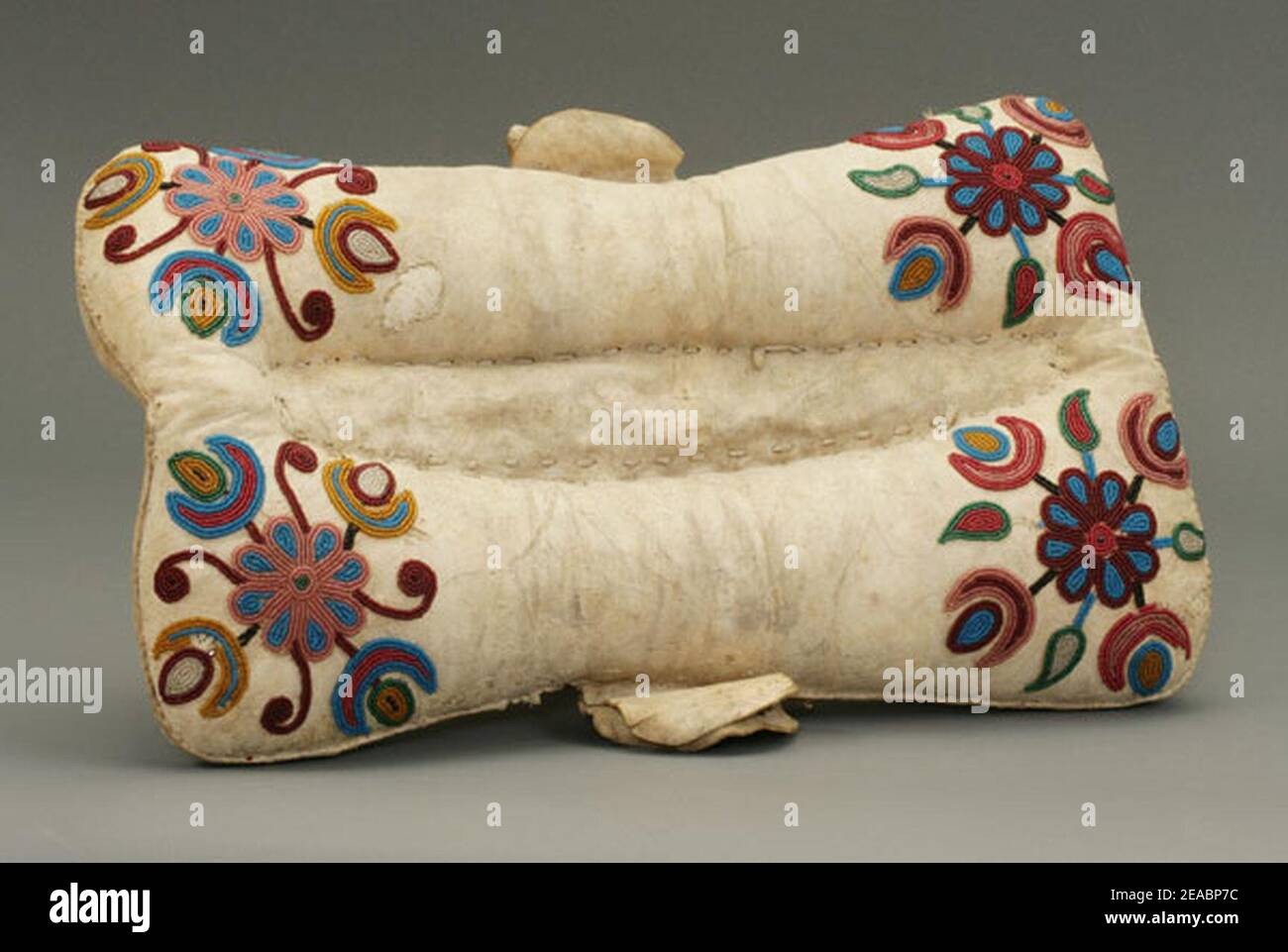 Cuscinetto a sella NEPE. Foto Stock