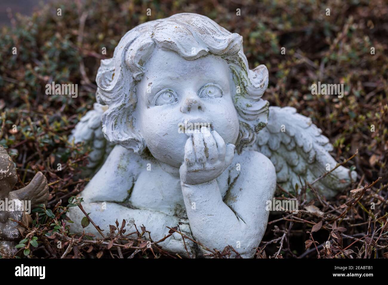 Grabengel, laparone, Heppenser Friedhof, Wilhelmshaven, bassa Sassonia, Foto Stock