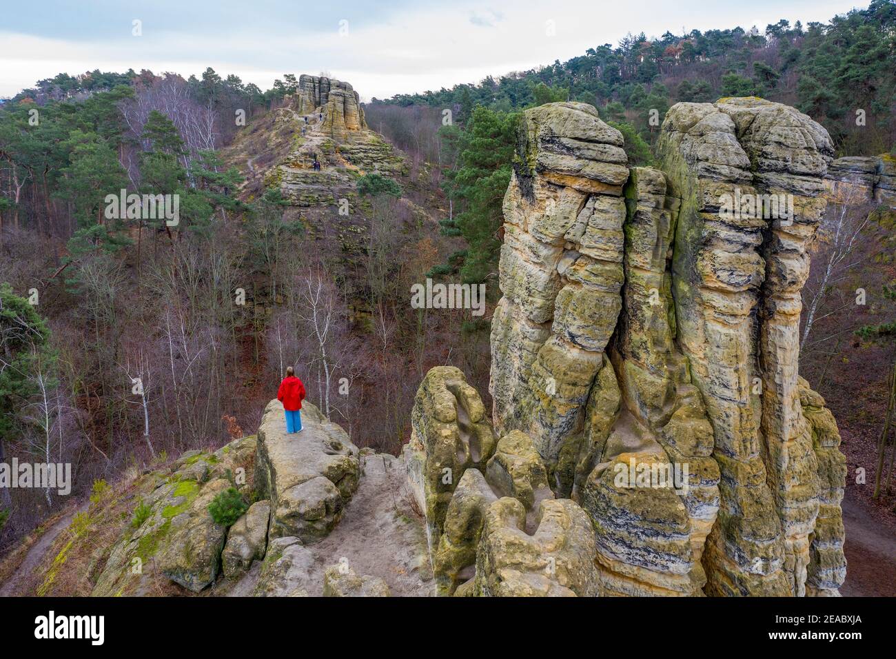 Germania, Sassonia-Anhalt, Halberstadt, un turista in giacca rossa si trova sulla scogliera a cinque dita nel Klusberg, catena montuosa nel Vorharz con grotte di arenaria. Foto Stock