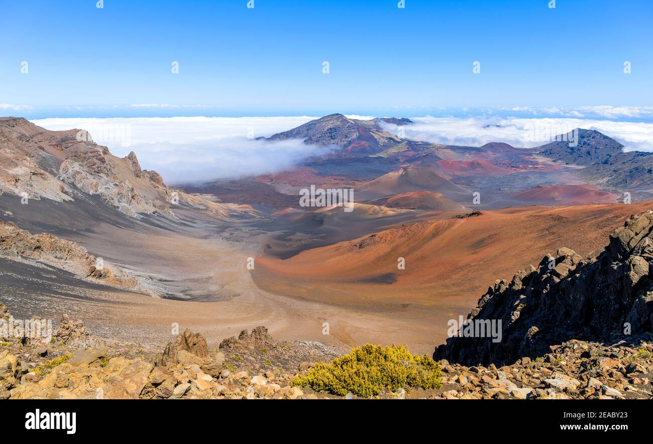 Haleakala Summit - Panorama del cratere vulcanico alla sommità di Haleakala, sotto il sole luminoso e il cielo blu, e circondato da mare di nuvole. Maui, Hawaii. Foto Stock