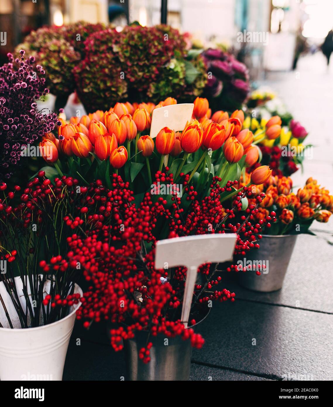 Fiori diversi in una vetrina con prezzo vuoto tag Foto Stock