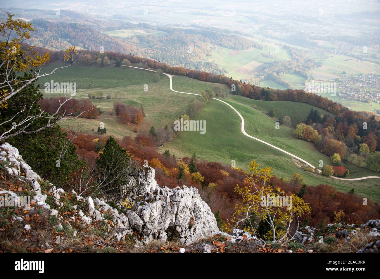 Sentiero escursionistico in autunno, Giura, Svizzera Foto Stock