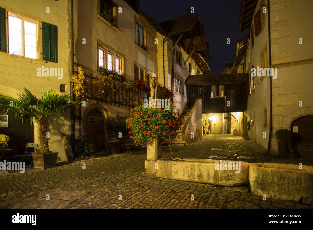 Villaggio fontana di Ligerz, Svizzera Foto Stock