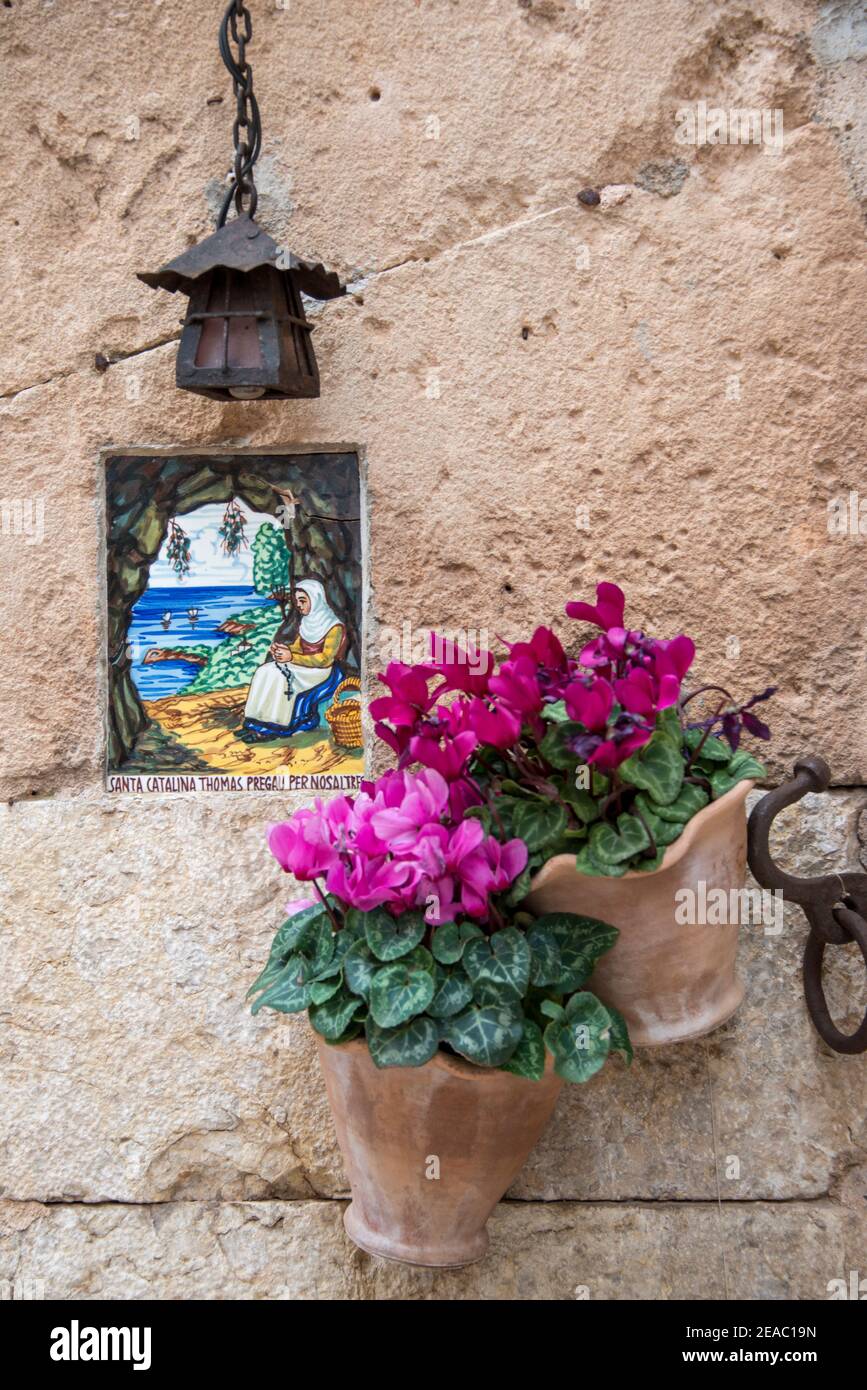 Vasi di fiori sul muro, Valldemossa, Maiorca Foto Stock