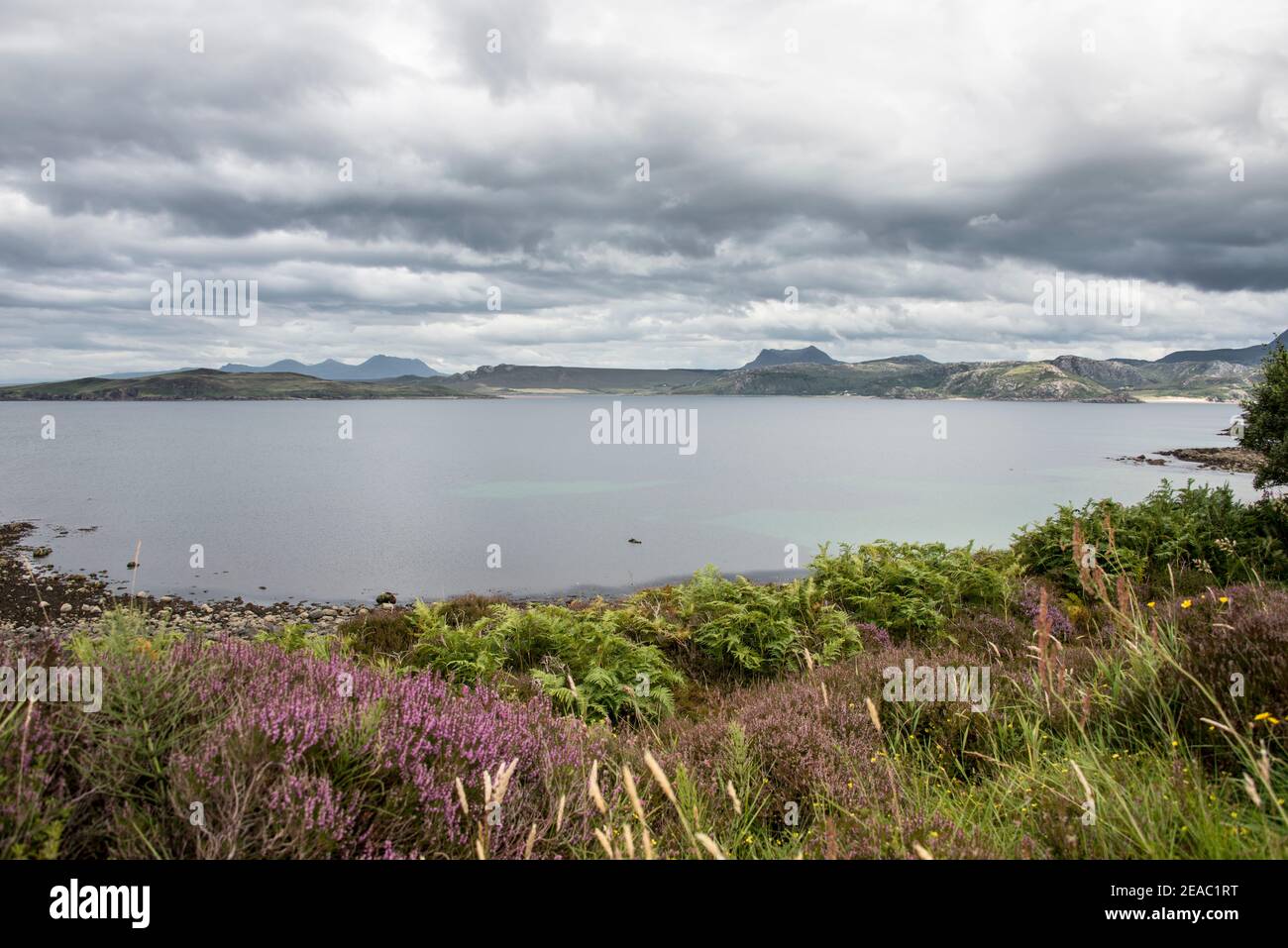 Brughiera e brughiera sulla costa della Scozia Foto Stock