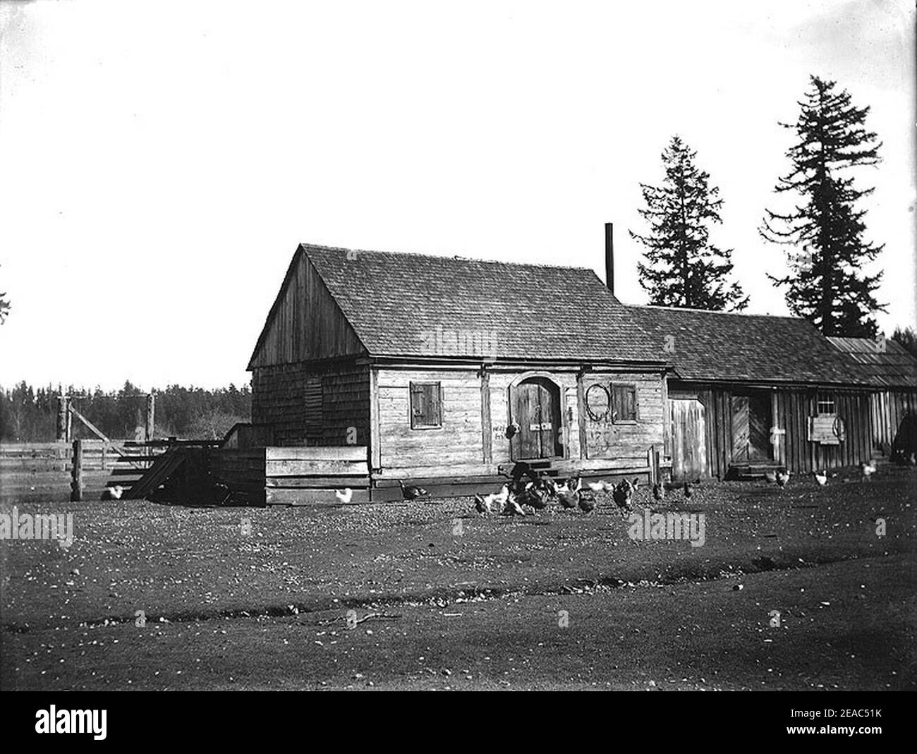 New Granary a Fort Nisqually, Washington, ca 1907 (BAR 279). Foto Stock