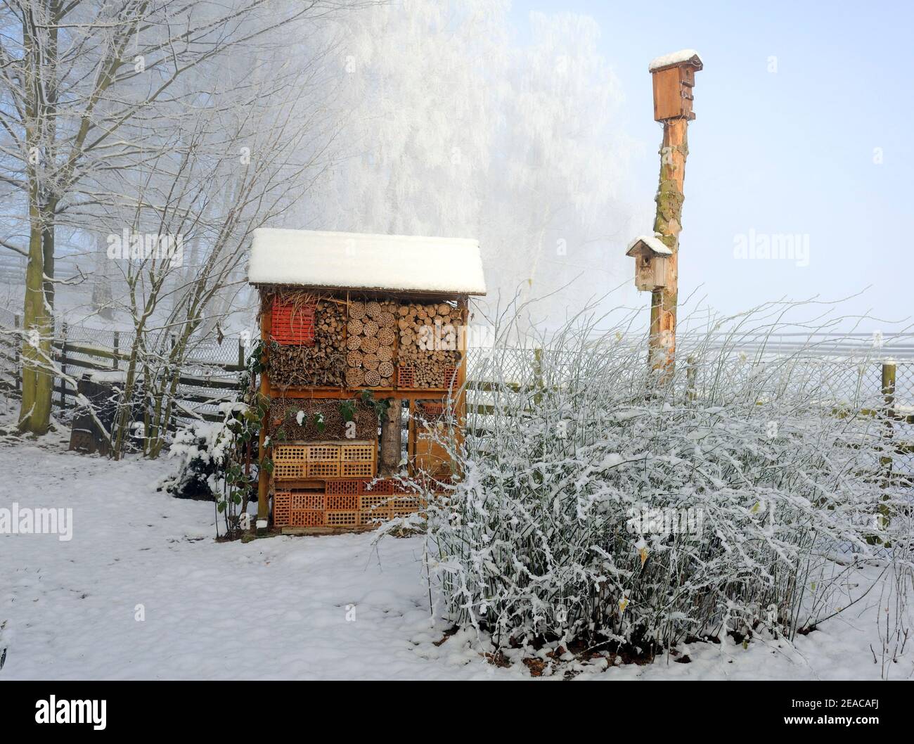 Hotel di insetti per insetti e scatole di nidificazione per cantare uccelli nel giardino d'inverno Foto Stock