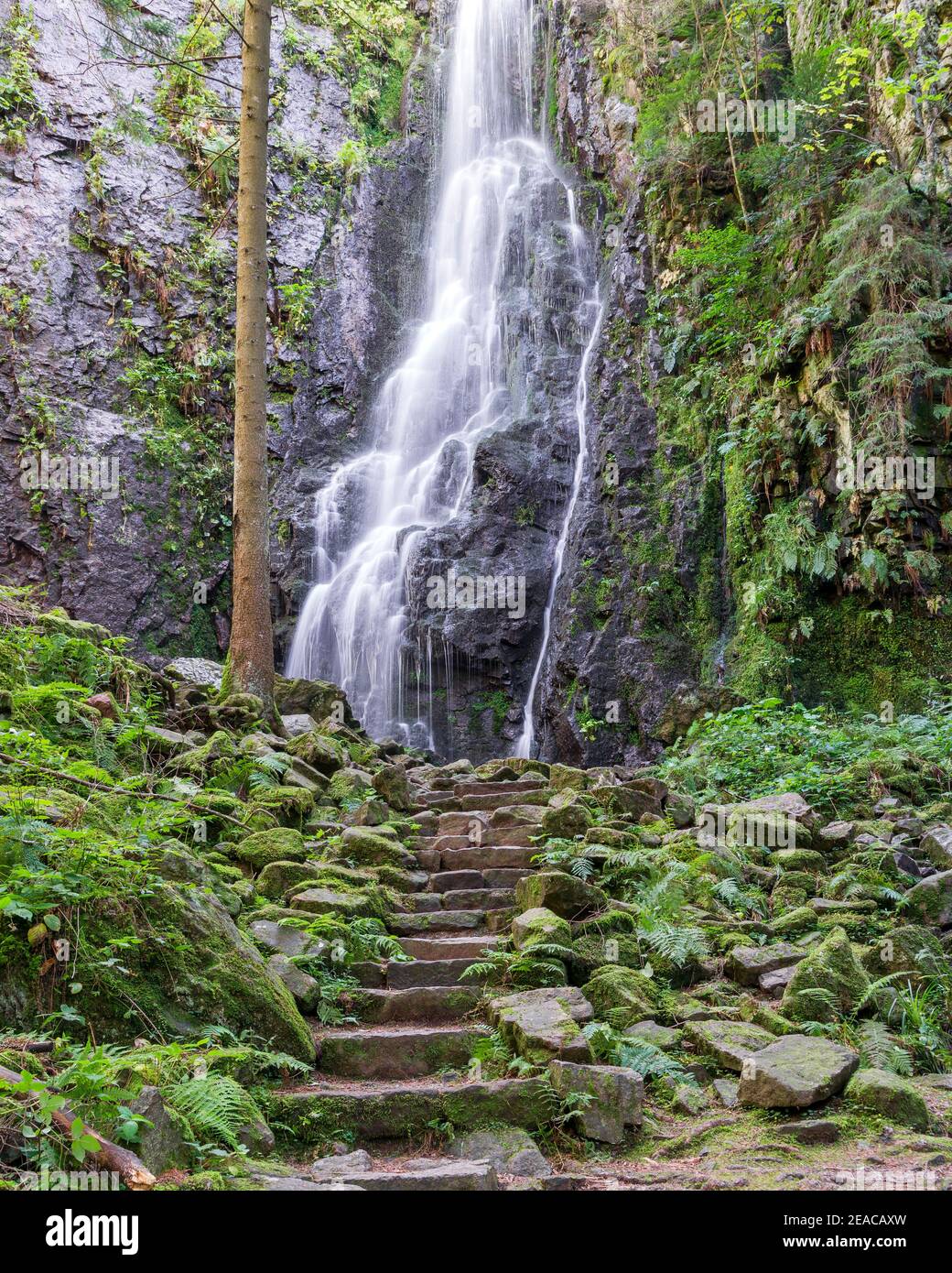 Germania, Baden-Wuerttemberg, Bad Rippoldsau-Schapbach, la cascata Burgbach alta 32 m è un monumento geologico naturale Foto Stock