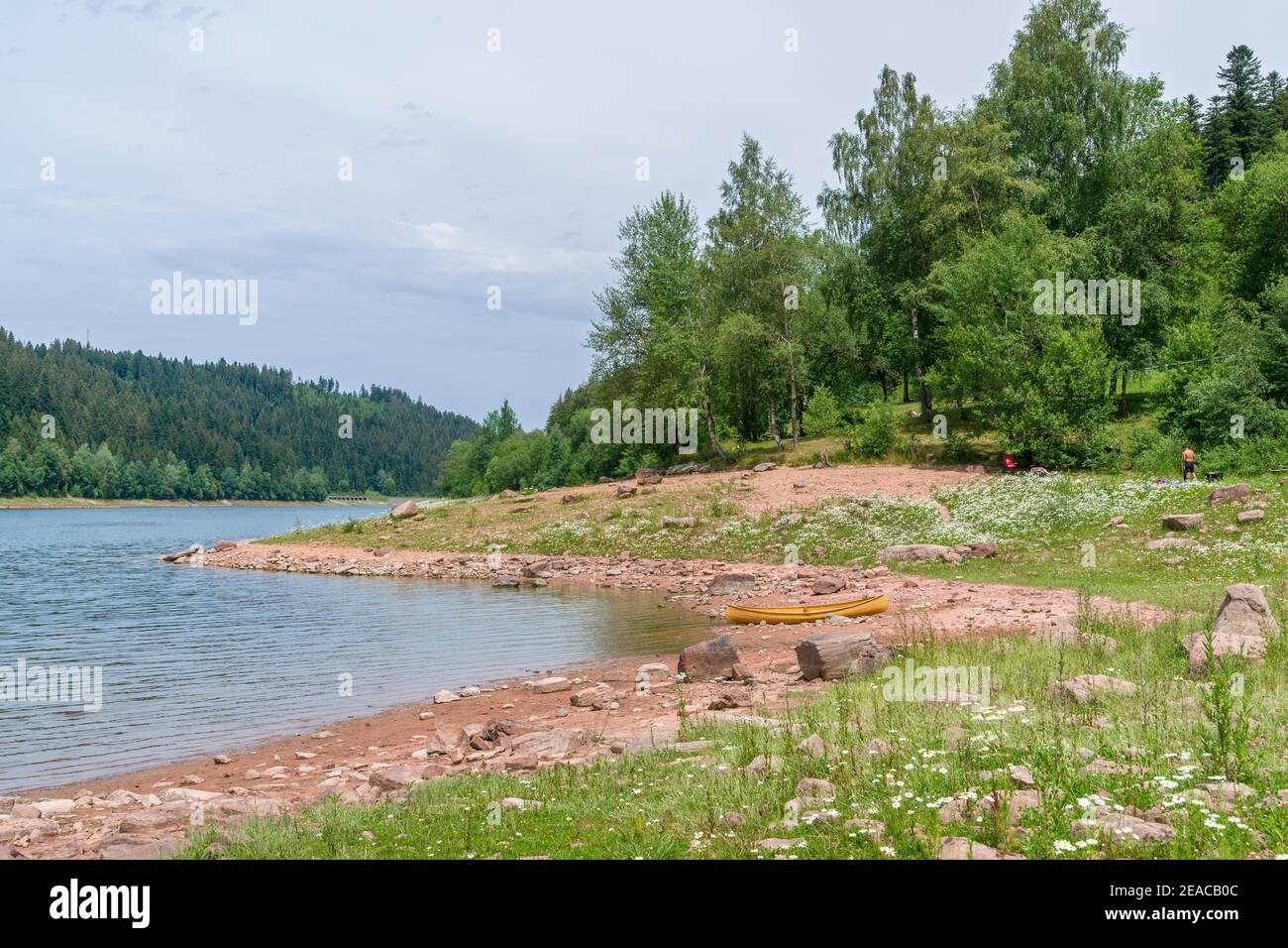 Germania, Baden-Württemberg, Seewald, Nagoldtalsperre nei pressi del distretto di Erzgrube, la diga è stata costruita tra il 1965 e il 1970 e messa in funzione nel 1971. Foto Stock