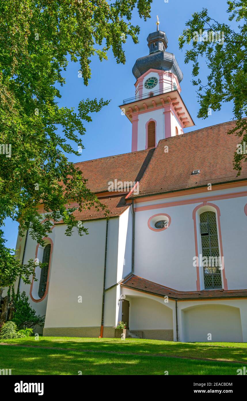 Germania, Baden-Wuerttemberg, Laupheim, Chiesa di San Petrus e Paulus al Castello di Großlaupheim. Foto Stock