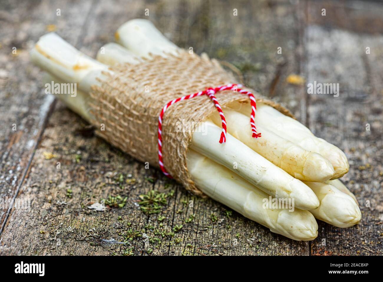 Diversi gambi di asparagi legati insieme con una corda rossa su una superficie di legno resistente alle intemperie Foto Stock
