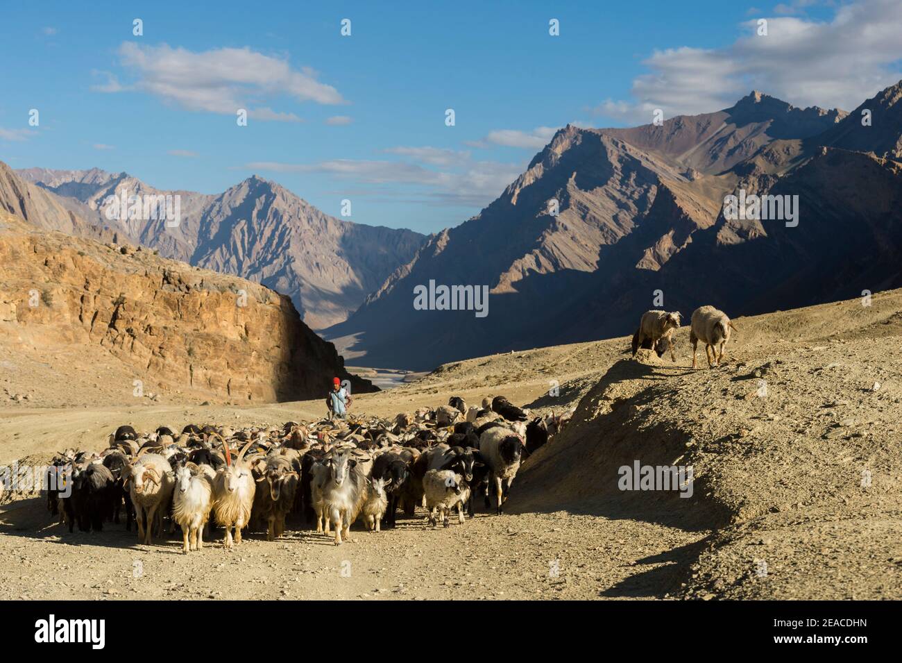 Zangla, con la valle dietro la fortezza di Karsha Khar Foto Stock