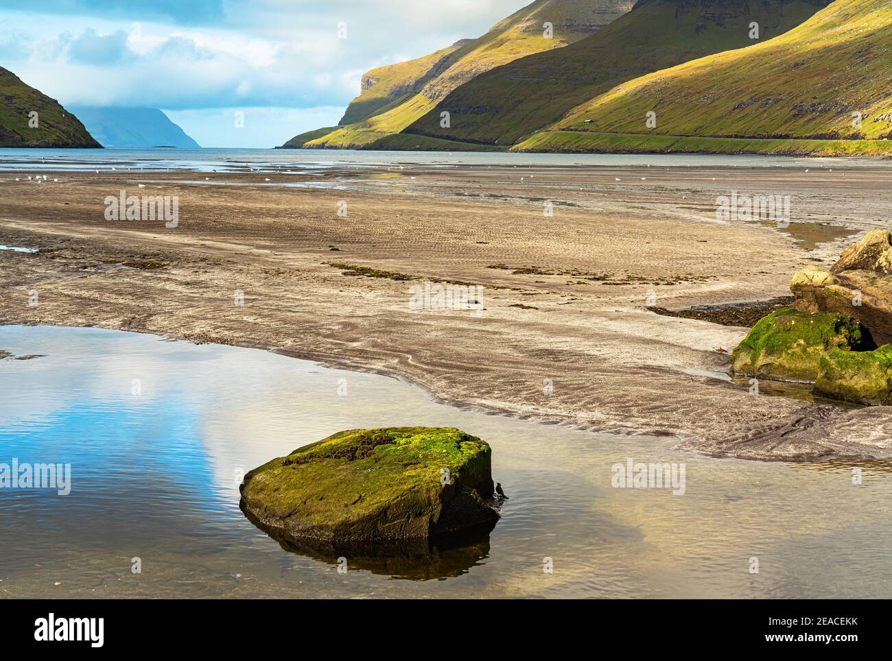 Bassa marea, Sørvágsfjørður, Isola di Várga, Isole Faroe Foto Stock