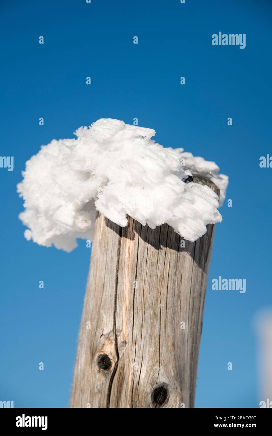 Svizzera, paesaggio invernale nel Giura, palo in legno innevato, Svizzera Foto Stock