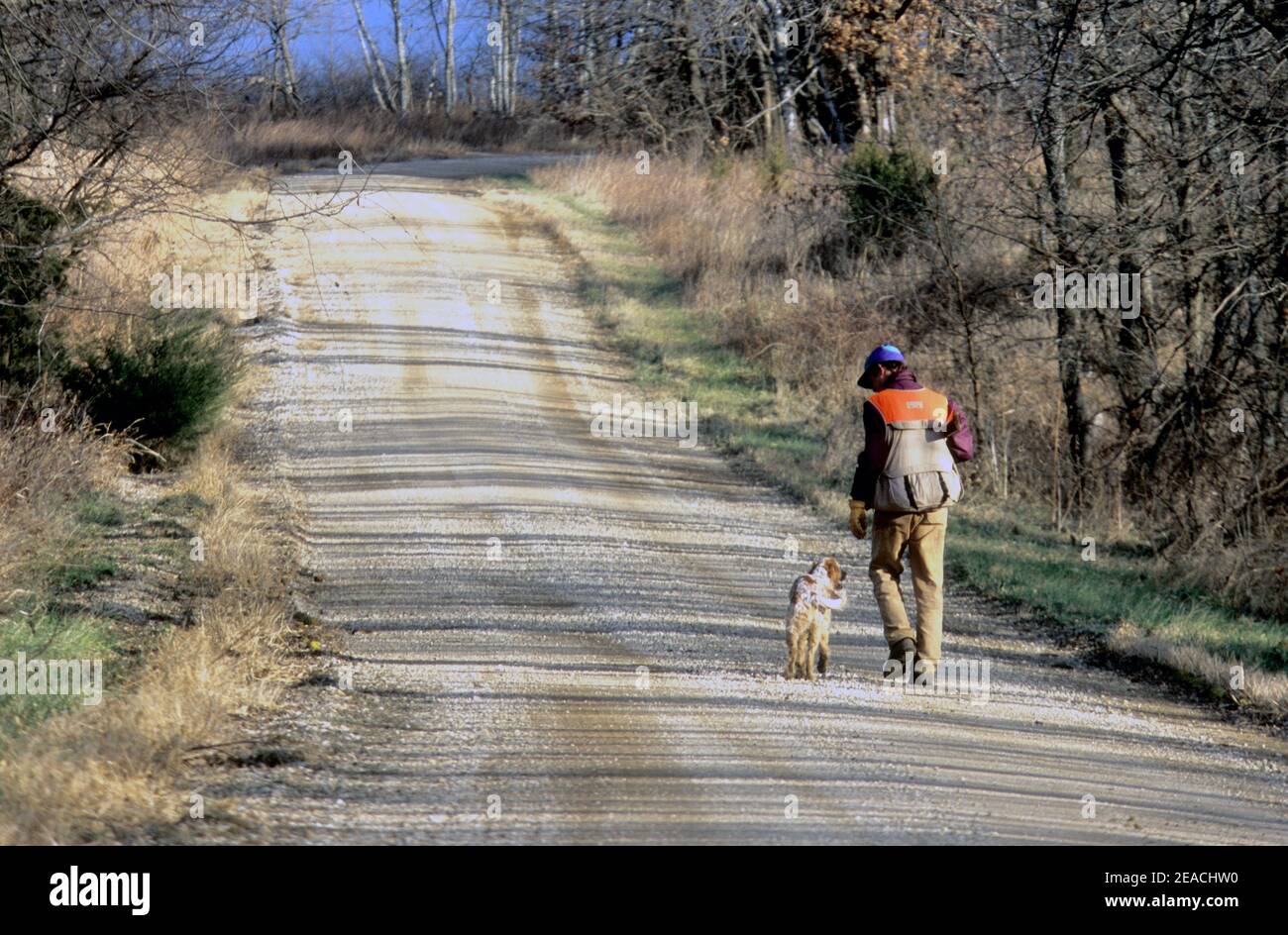 Bobwhite cacciatore di quaglie e inglese setter a piedi lungo una strada di campagna nel Kansas se, USA alla fine della giornata. Foto Stock