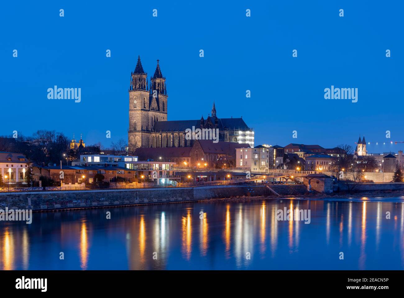 Germania, Sassonia-Anhalt, Magdeburgo, passeggiata dell'Elba con la Cattedrale di Magdeburgo durante l'ora blu. Foto Stock