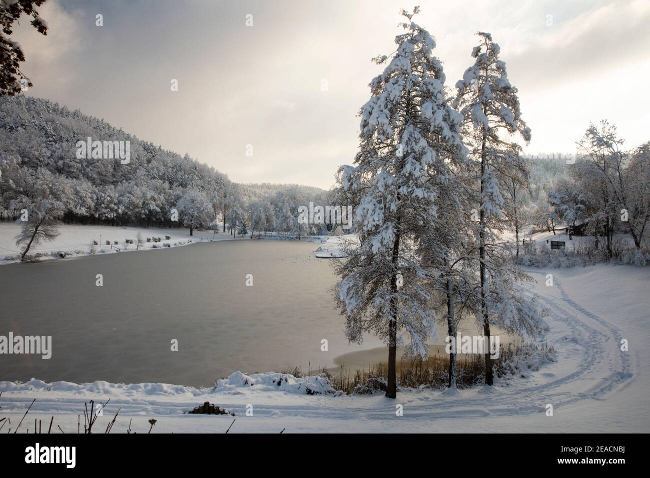 Inverno, neve, lago ghiacciato di balneazione Rangendingen, Alb Hohenzollern Foto Stock