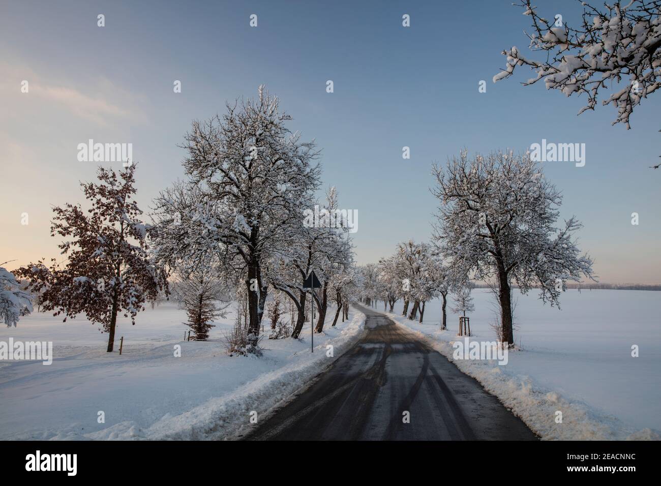 Paesaggio invernale, neve, alberi, tramonto Foto Stock