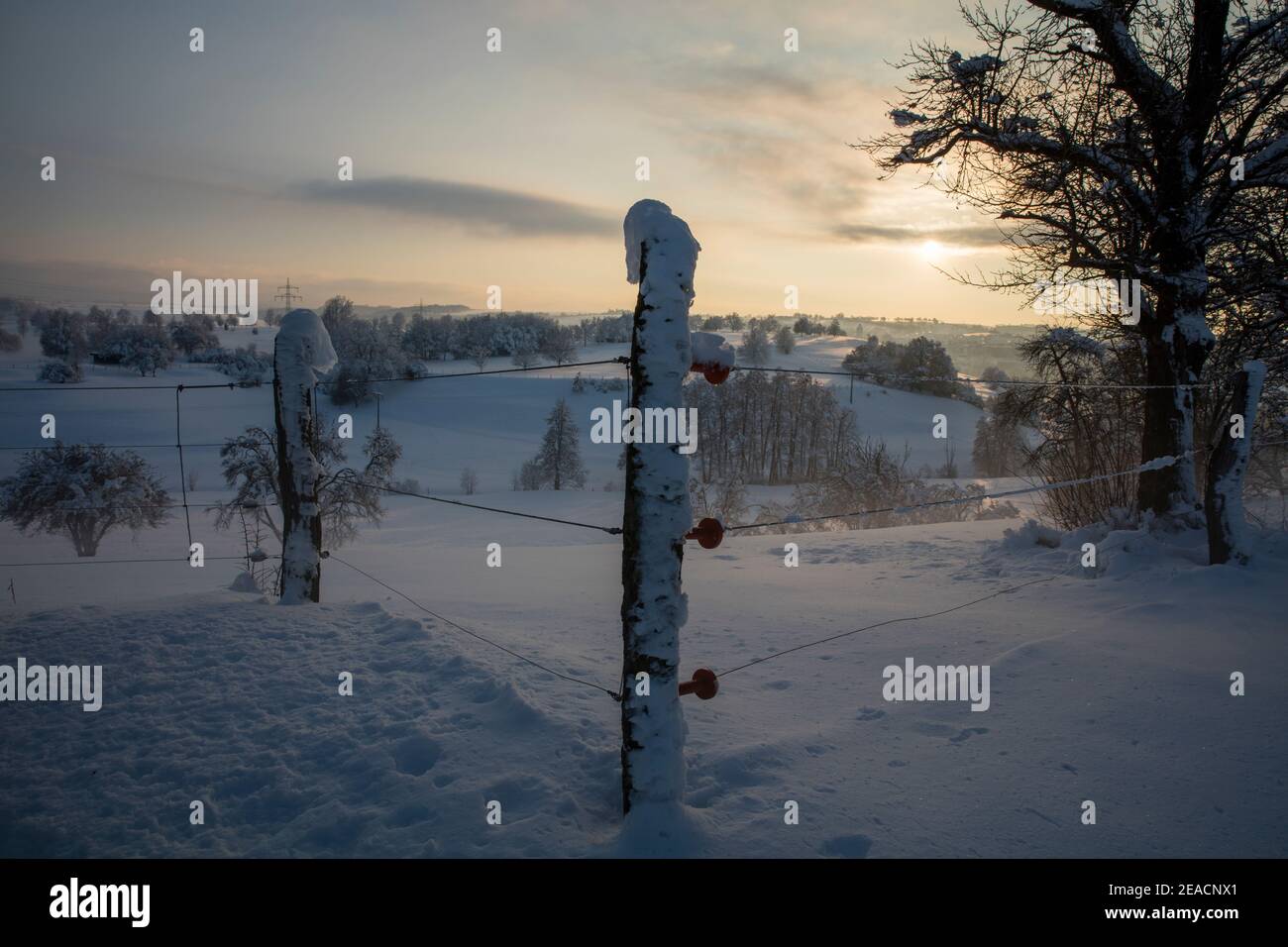 Paesaggio invernale, neve, alberi, tramonto Foto Stock