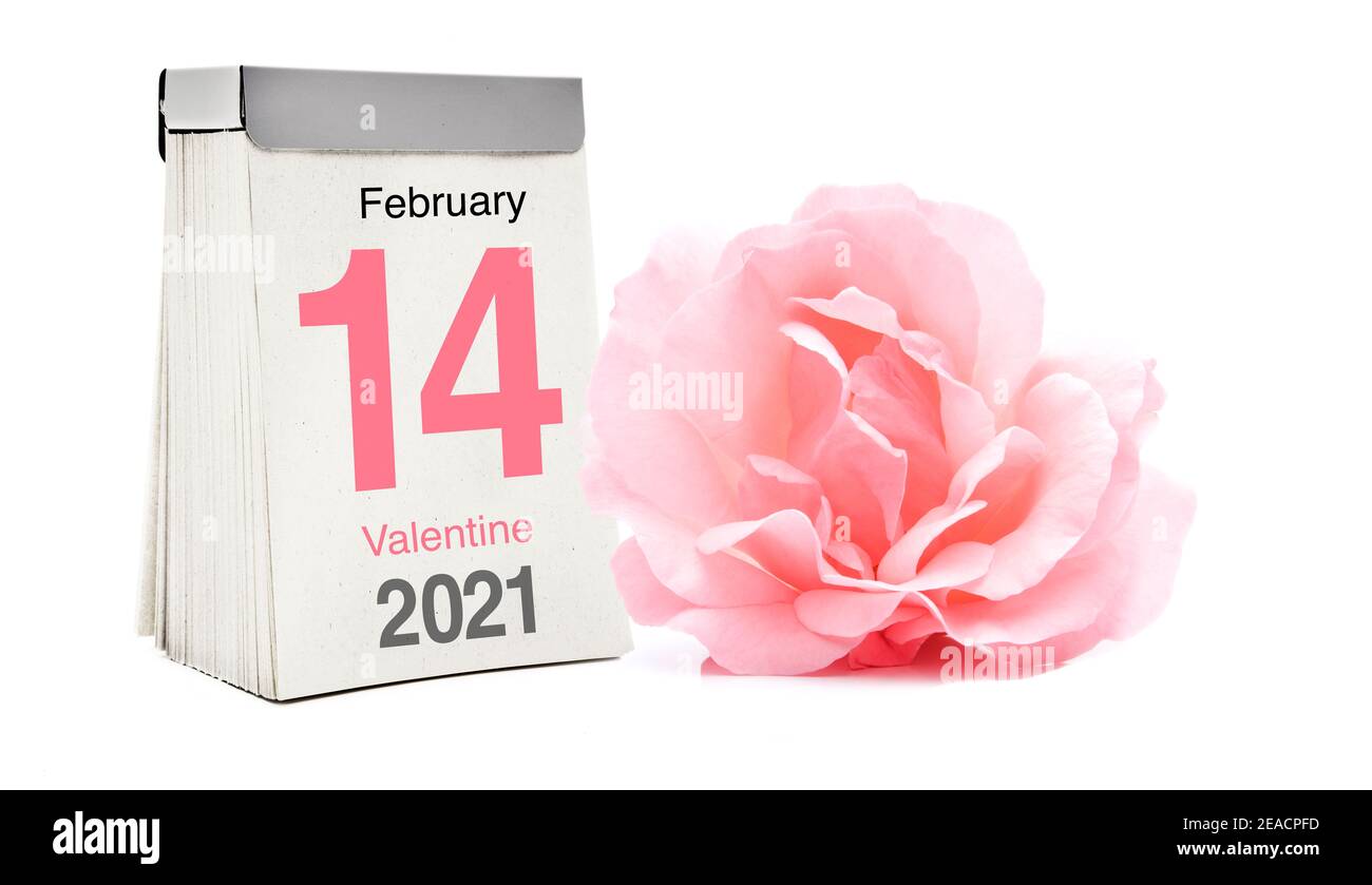 Calendario e rosa per San Valentino Foto Stock