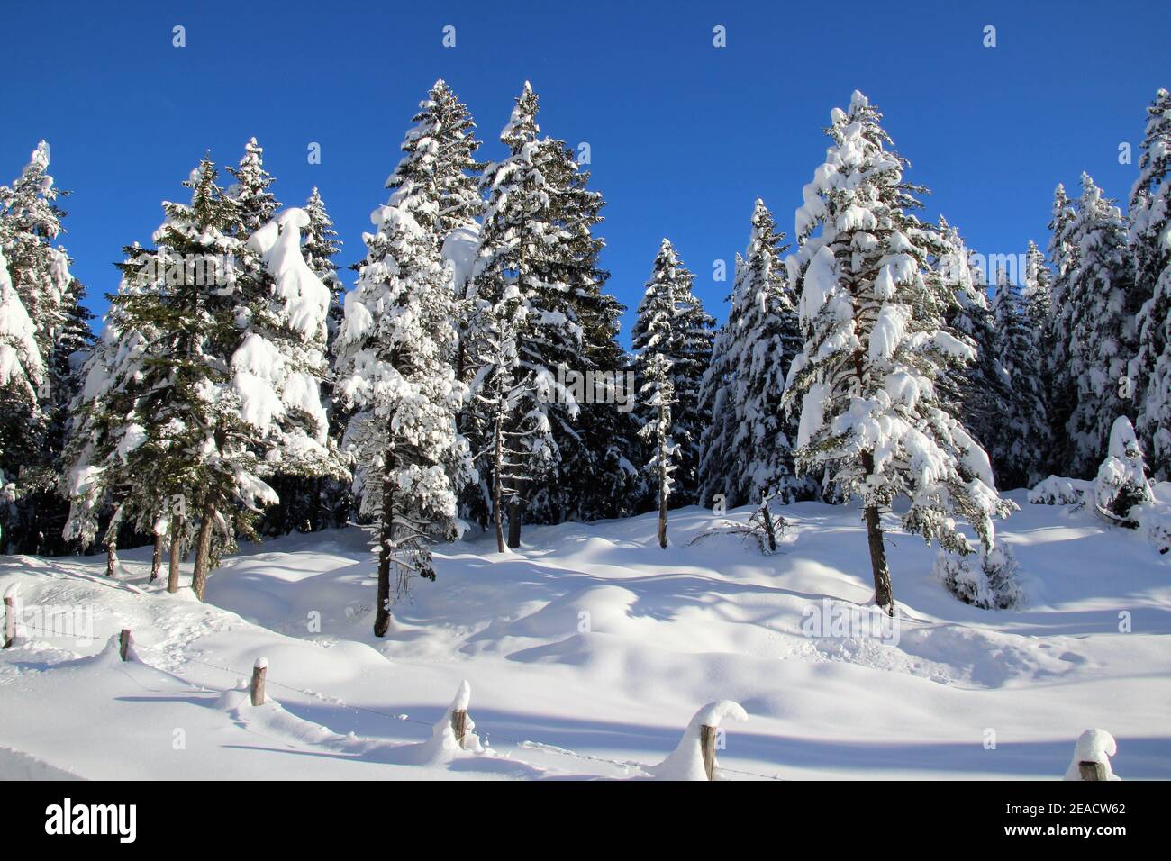 Winterlandschaft bei Mittenwald, Werdenfelser Land, Oberbayern, Bayern, Süddeutschland, Deutschland, Europa Foto Stock