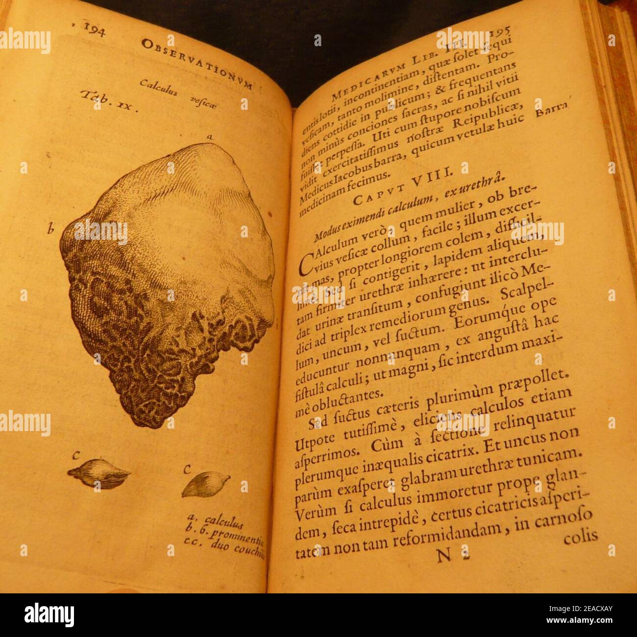 Nicolaes Tulp 1641 capvt 3de viii cathalina. Foto Stock