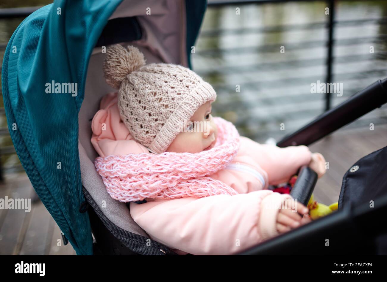 Baby in passeggino in una passeggiata nel parco autunnale. Adorabile bambina in abiti caldi seduta in carrozzina blu. Bambino in buggy Foto Stock