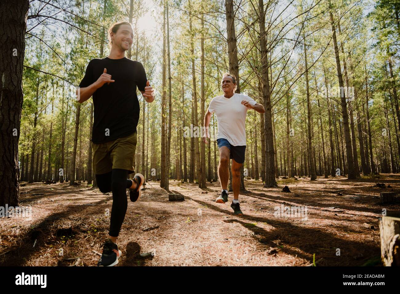 Padre caucasico e figli teen che si esercitano in lussureggiante foresta correre nei boschi Foto Stock