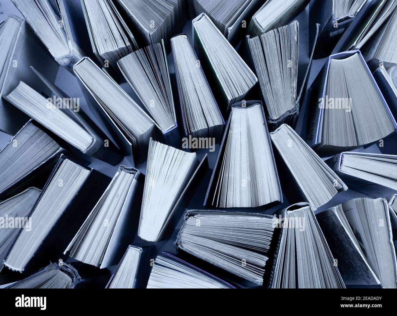Sfondo del libro. Libri vecchi nella biblioteca. Negozio di librerie. Pubblicazioni di conoscenza, letteratura. Libreria, libreria. Pagine bianche. Grigio pieno ba Foto Stock