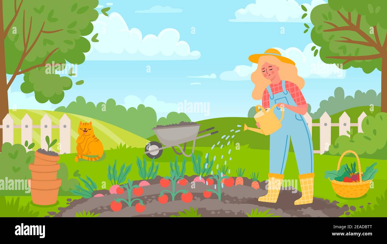 Woman annaffiatoio giardino. Il giardiniere femminile lavora, coltivando, coltiva le verdure e le acque di pomodoro. Paesaggio agricolo e vettore concetto Illustrazione Vettoriale