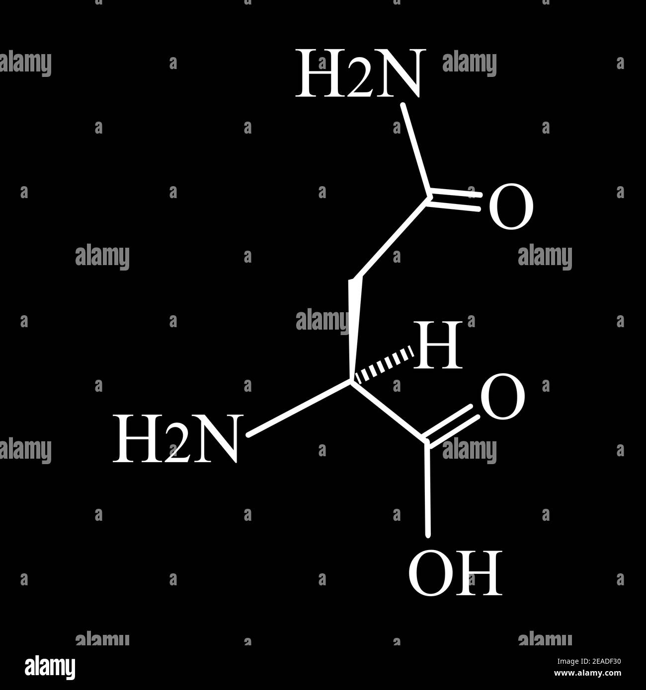 L'asparagina è un amminoacido. Formula chimica molecolare l'asparagina è amminoacido. Illustrazione vettoriale su sfondo isolato Illustrazione Vettoriale