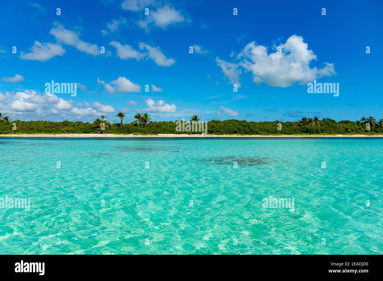 Spiaggia dei Caraibi paradiso delle acque cristalline Sian Kaan Bioreserve Foto Stock