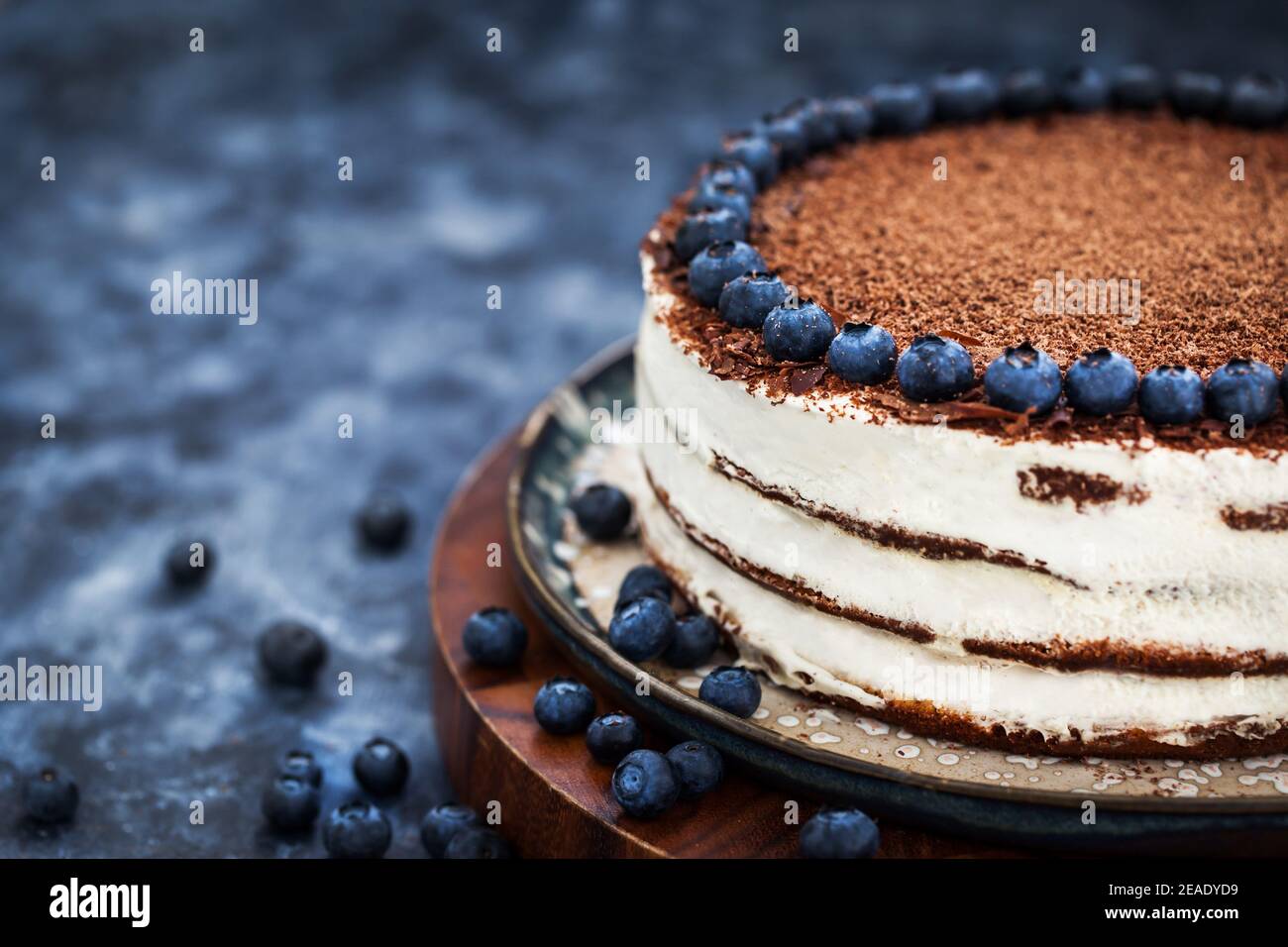 Deliziosa torta alla vaniglia panna acida fatta in casa decorata con cioccolato e. mirtillo fresco Foto Stock