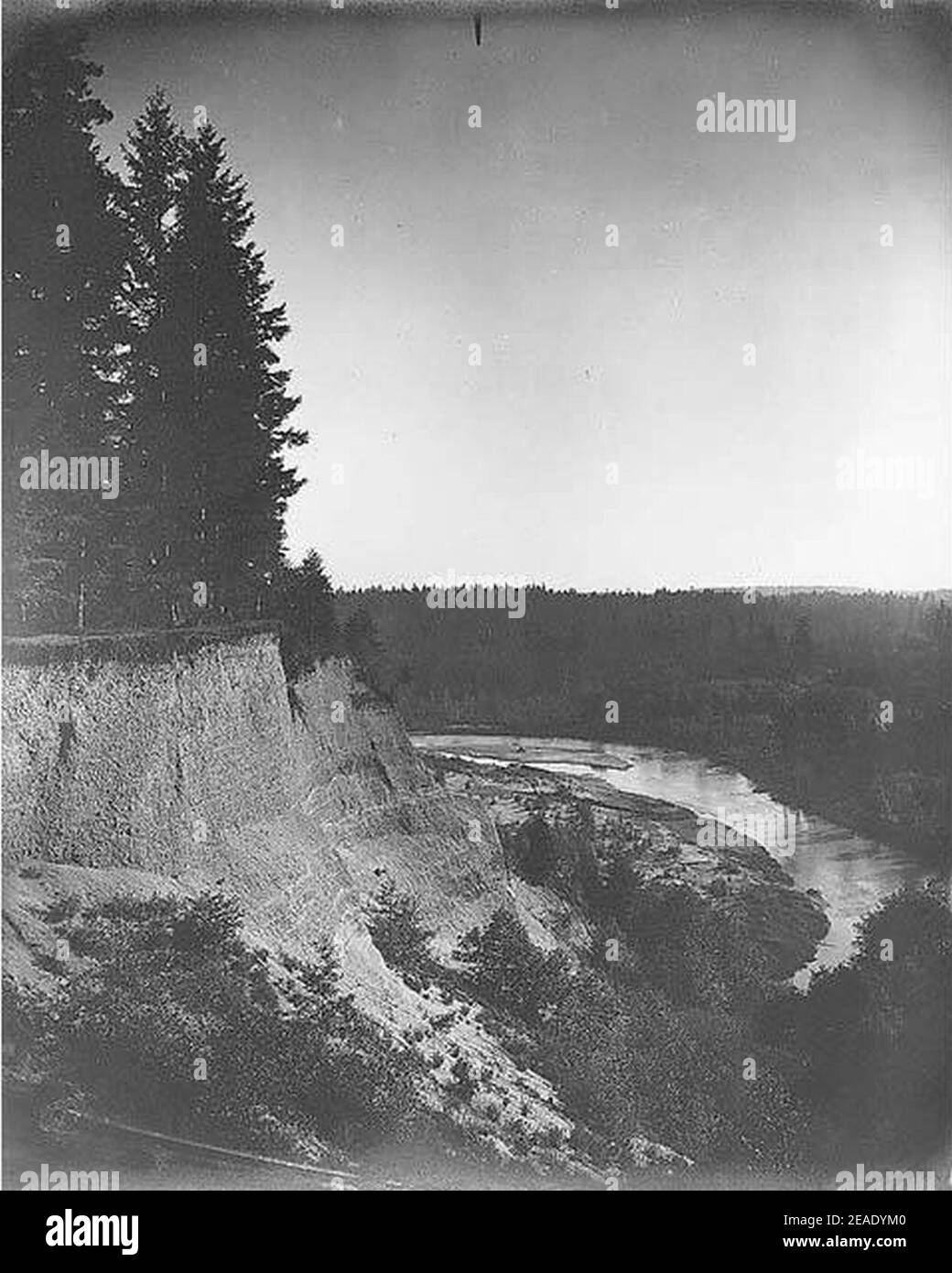 Nisqually River, vicino a Fort Lewis, giugno 1904 (SARVANT 111). Foto Stock