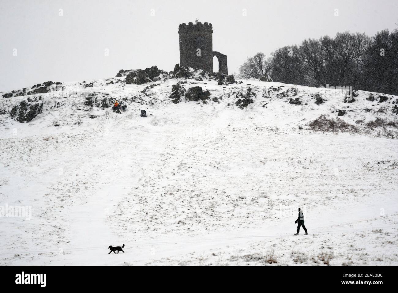 Newtown Linford, Leicestershire, Regno Unito. 9 febbraio 2021. Meteo nel Regno Unito. Un uomo cammina un cane attraverso la neve fresca nel Bradgate Park. Credit Darren Staples/Alamy Live News. Foto Stock
