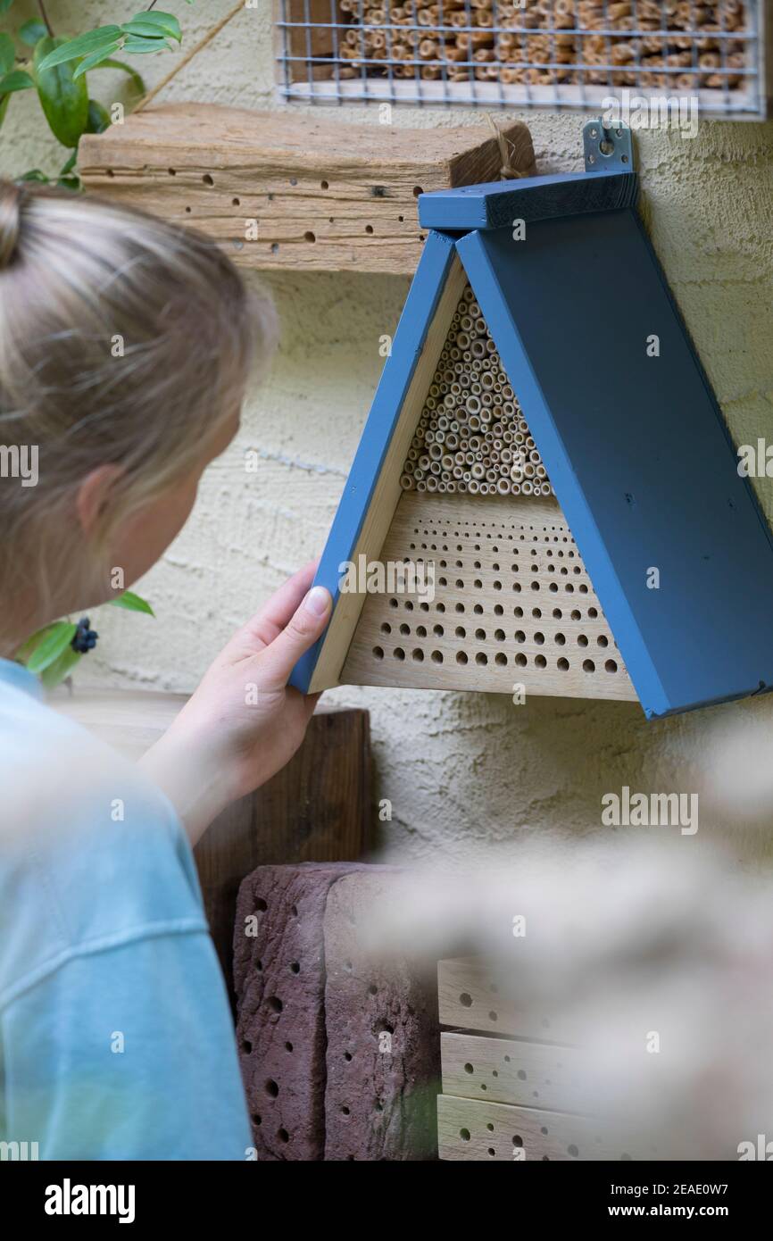 Beobachtung an Wildbienen-Nisthilfen, junge Frau beobachtet Wildbienen an Nisthilfen. Wildbienen-Nisthilfen, Wildbienen-Nisthilfe selbermachen, selber Foto Stock