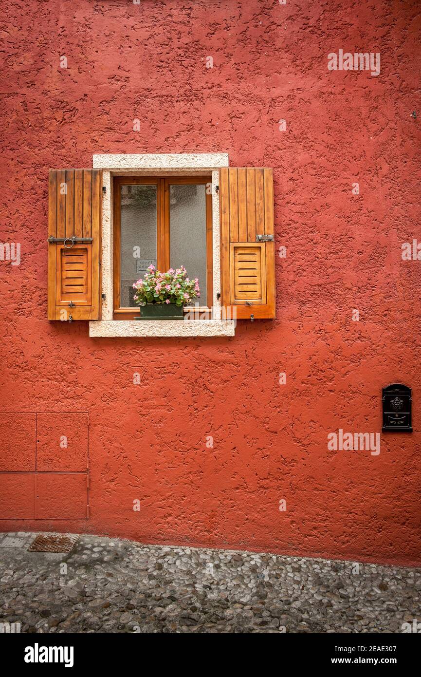 Pianta in vaso su un davanzale fuori di una casa a Malcesine, Lago di Garda, Italia. Foto Stock