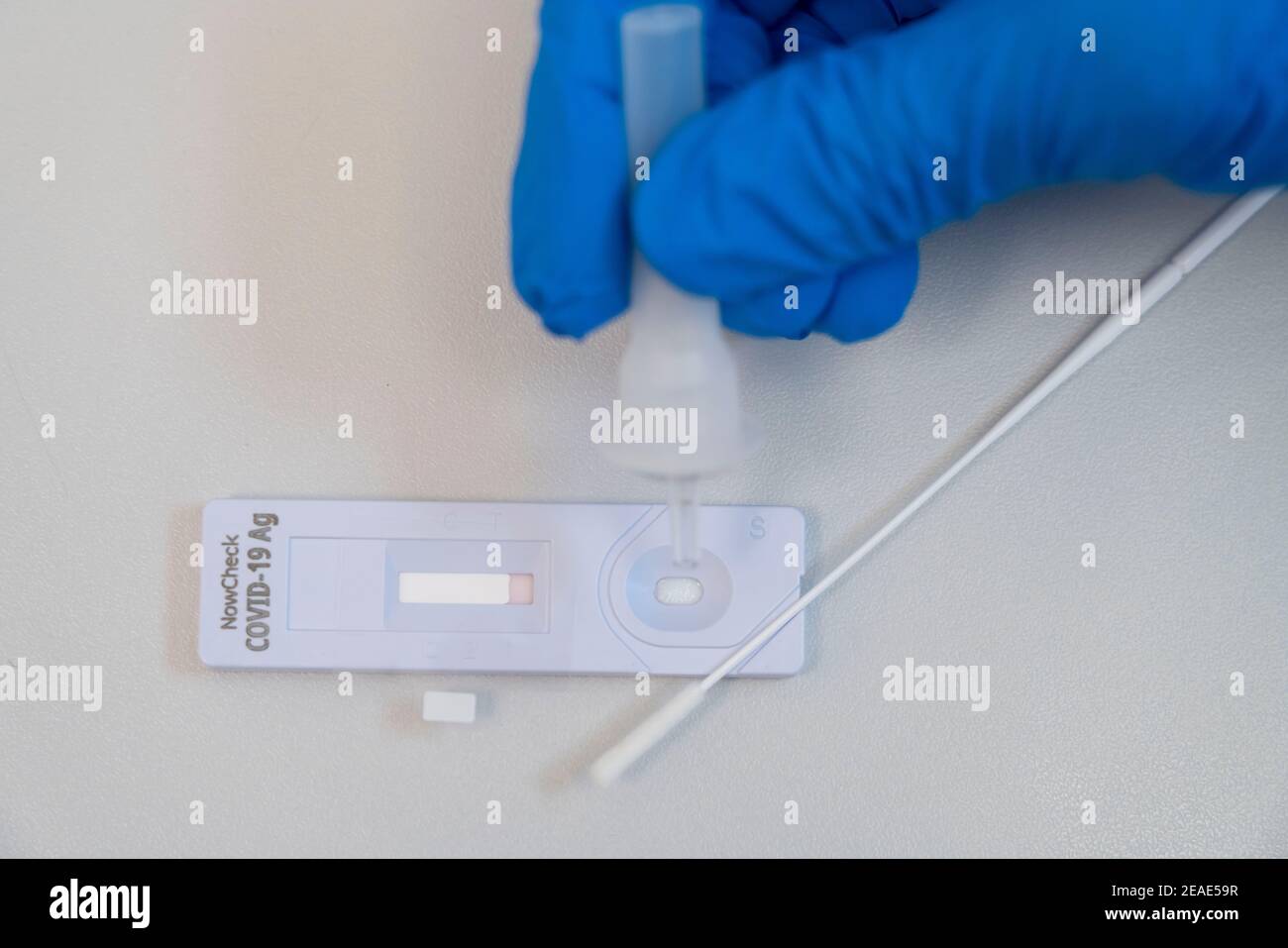 Test rapido Covid-19, test antigenico, l'abrasione del tampone viene sciolta in un liquido e applicata al dispositivo di prova, dopo pochi minuti il test devi Foto Stock