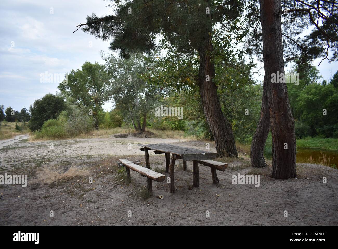 Panca e tavolo nella foresta Foto Stock