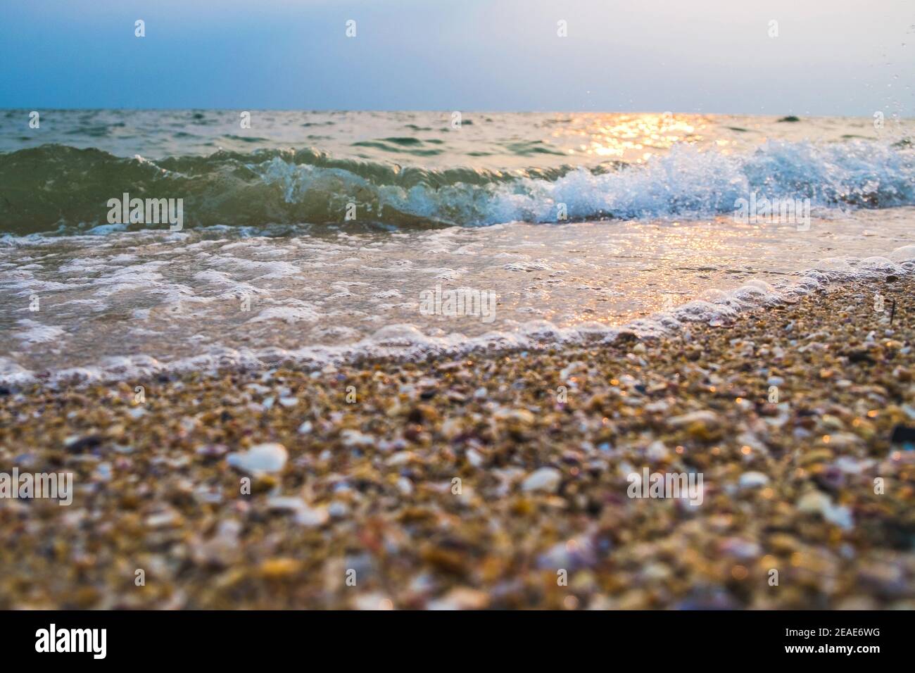 Spiaggia tropicale con onda, cielo blu sulla spiaggia dorata sabbia dentro luce del tramonto Foto Stock