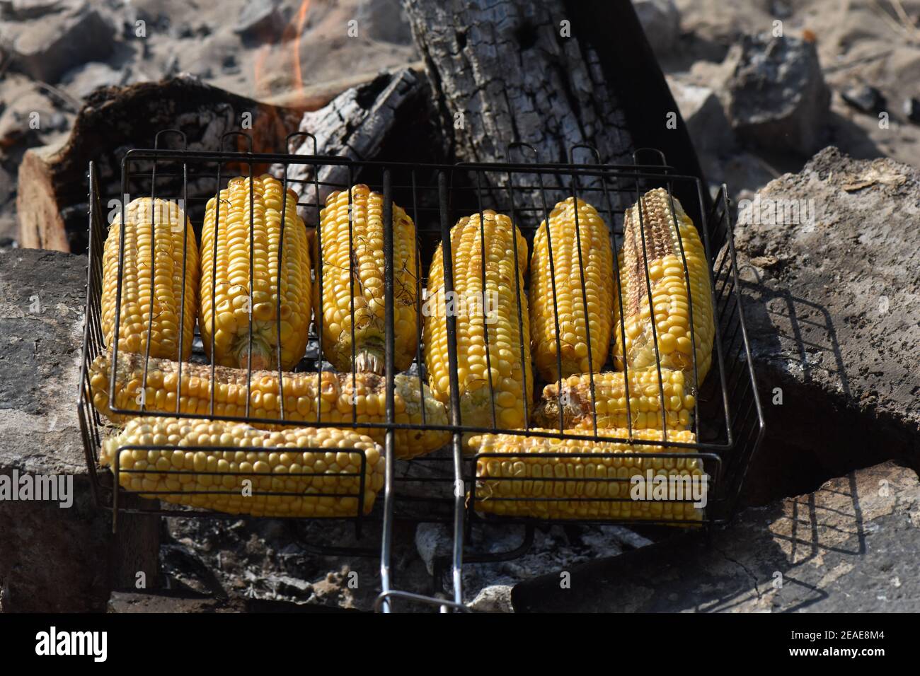 Verdure al barbecue Foto Stock