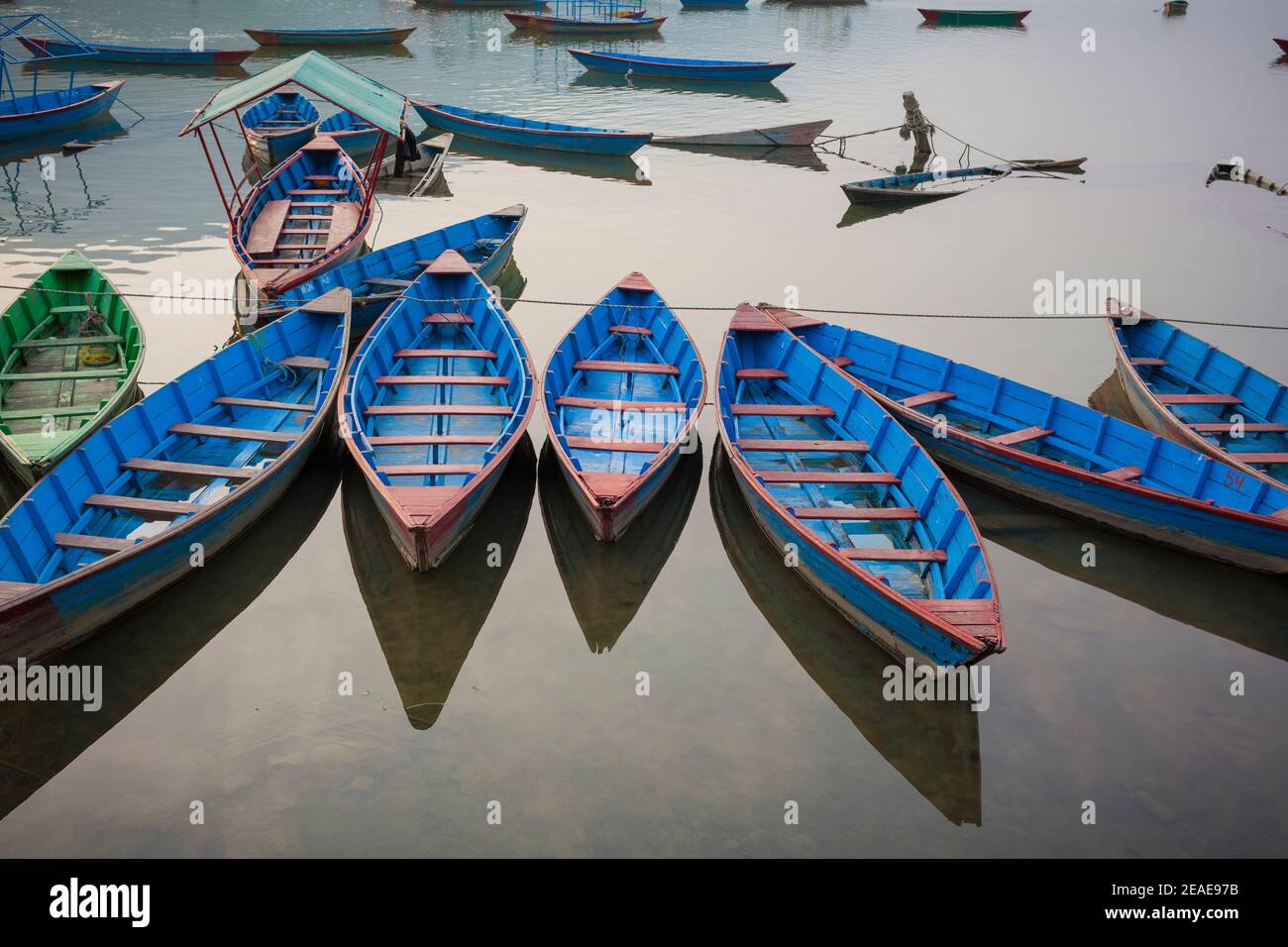 Barche colorate in legno sul lago Phewa. Pokhara. Nepal. Foto Stock