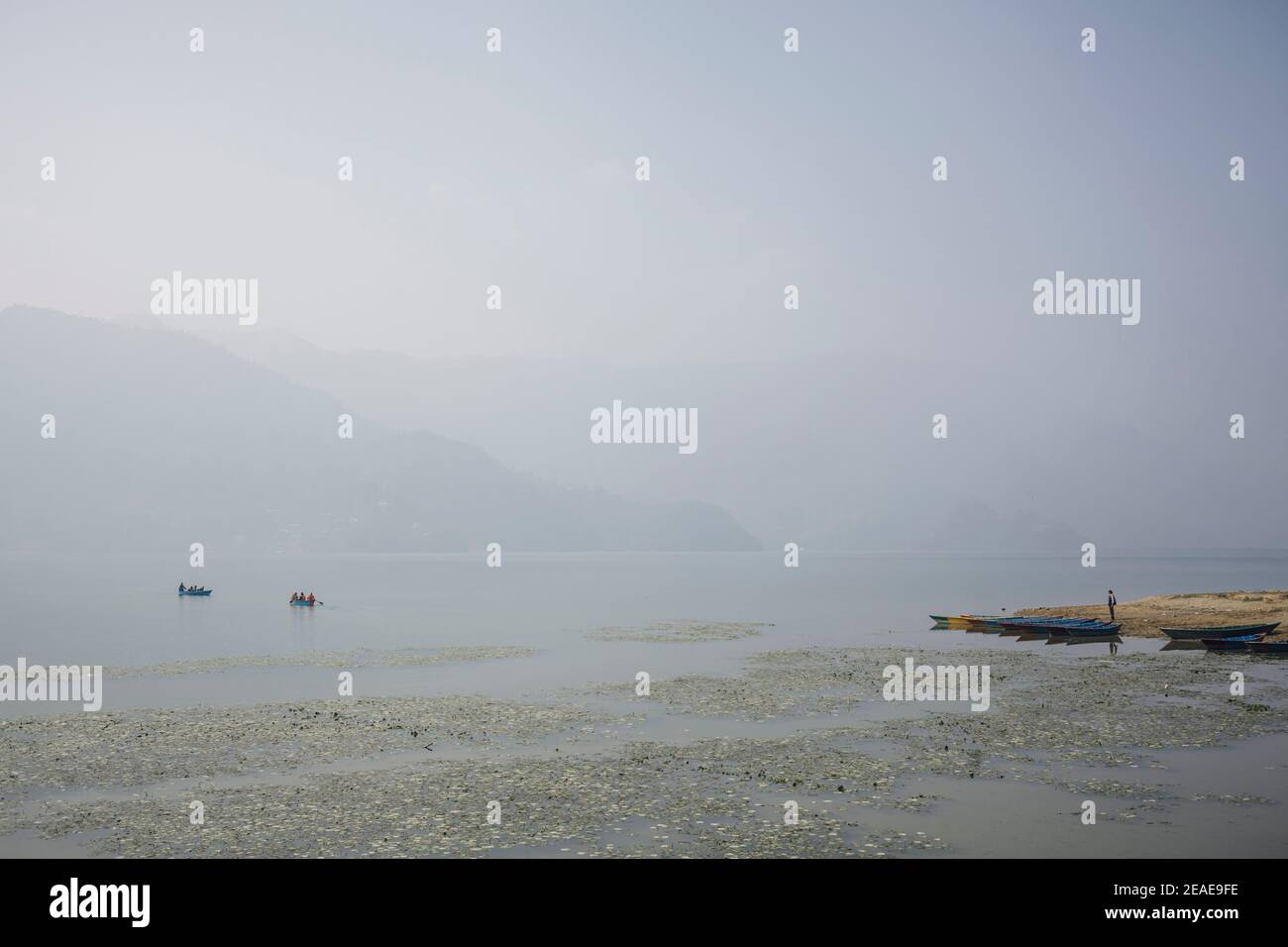 Barche colorate in legno sul lago Phewa. Pokhara. Nepal. Foto Stock