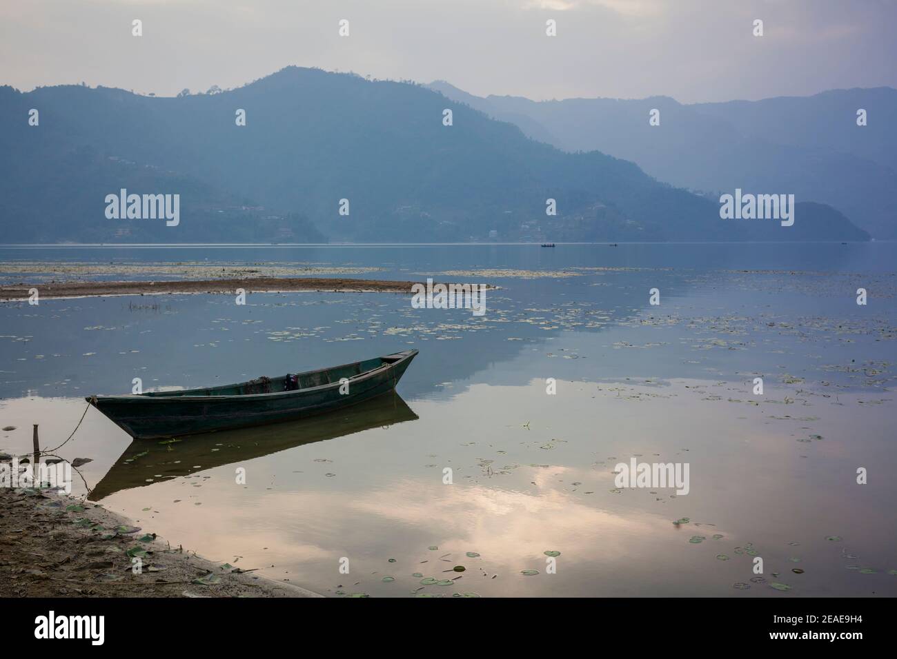 Barche colorate in legno sul lago Phewa. Pokhara. Nepal. Foto Stock