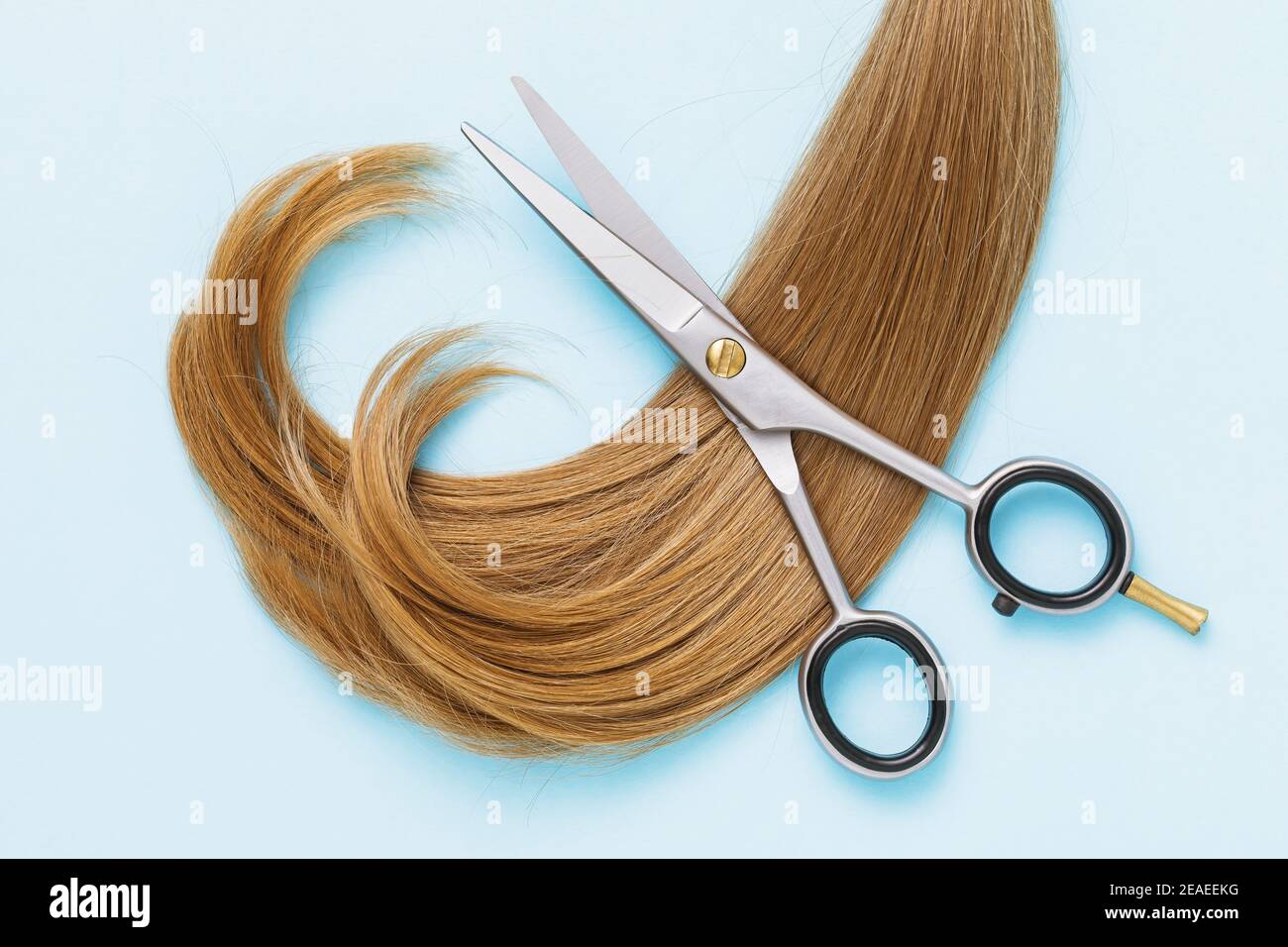 Forbici e capelli femminili di colore marrone chiaro su sfondo blu, vista dall'alto. Concetto di parrucchiere. Foto Stock