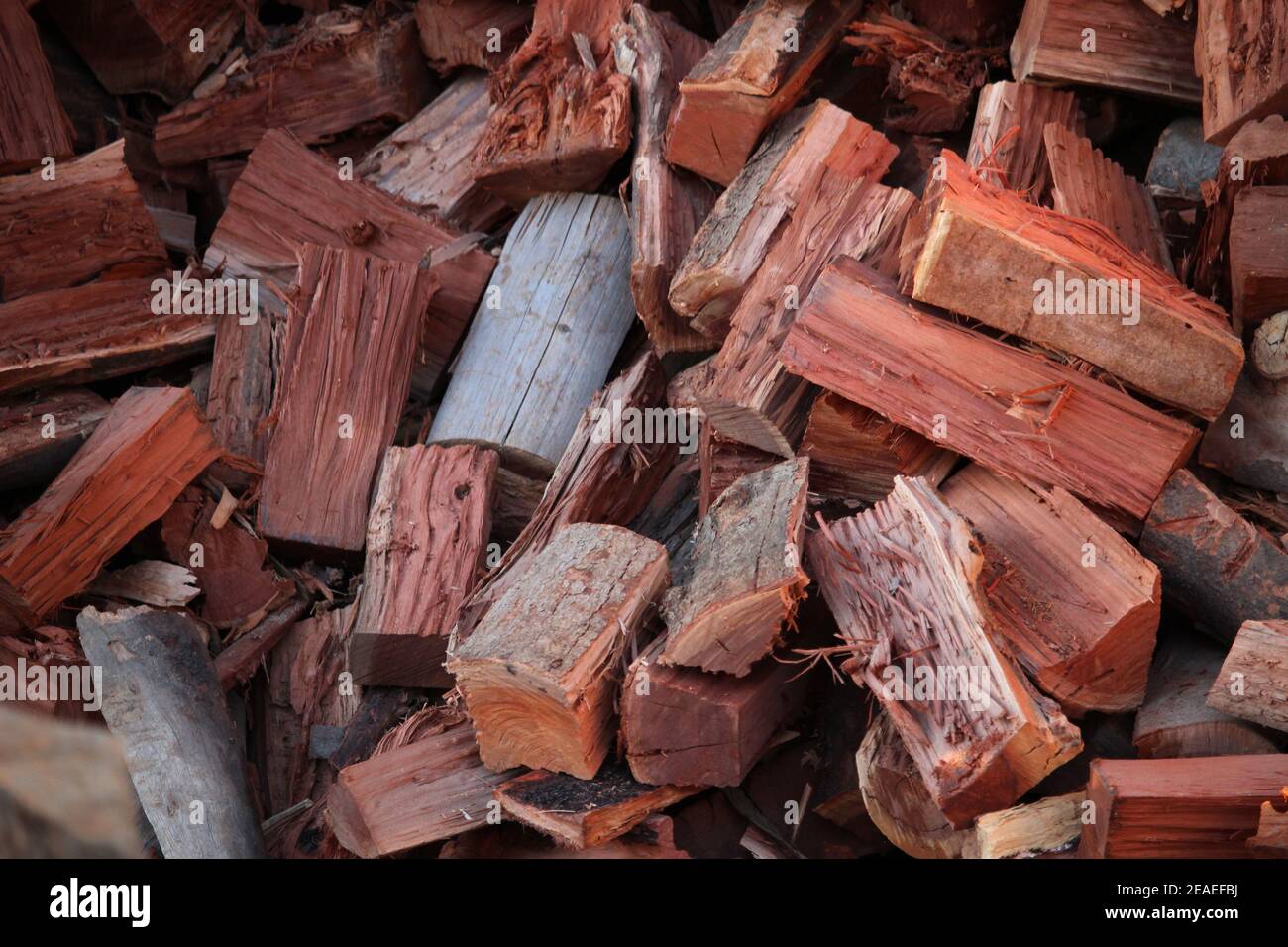 Legna da ardere di eucalipto tronchi di eucalipto legna da ardere di  eucalipto Foto stock - Alamy