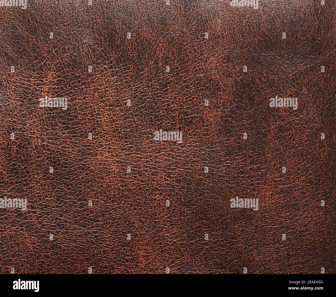 Motivo di scuro con superficie in pelle spot. Consistenza di vera pelle di vacca Foto Stock